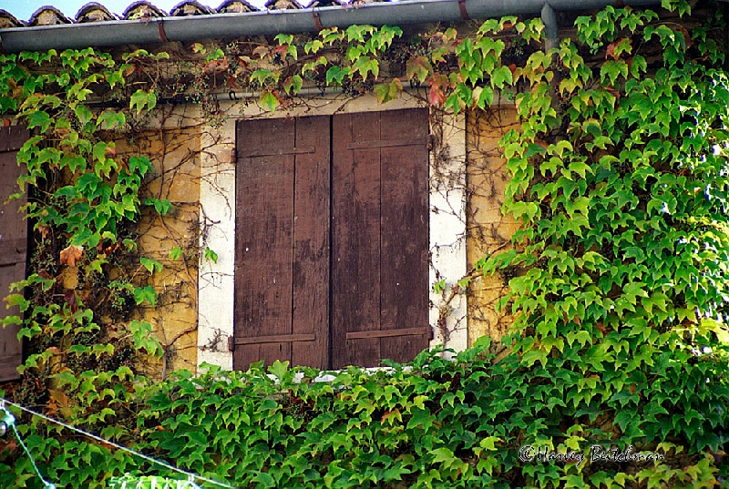 Lourmarain Window No-15-31a.jpg